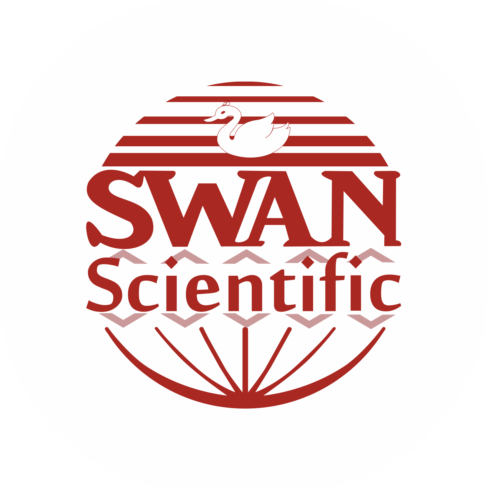 Swan