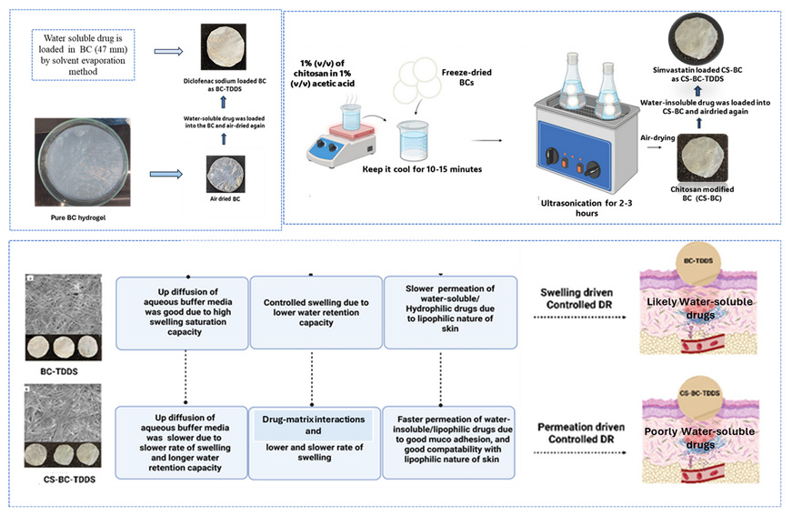 Drug Delivery
