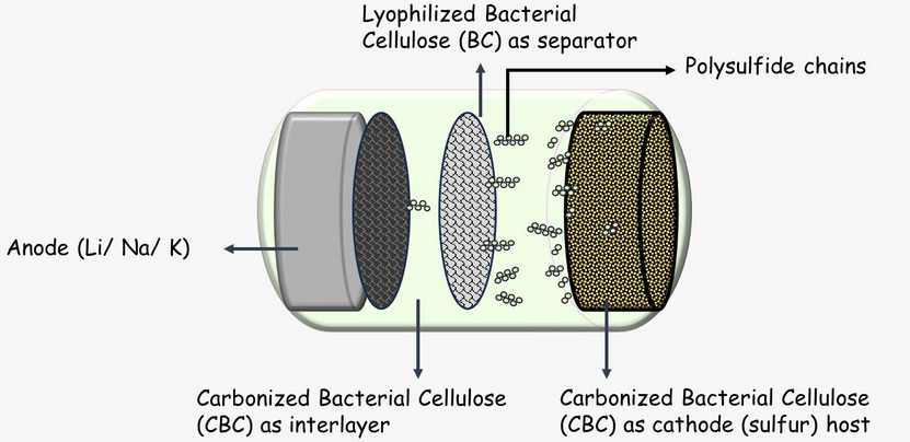 Metal-sulfur Battery