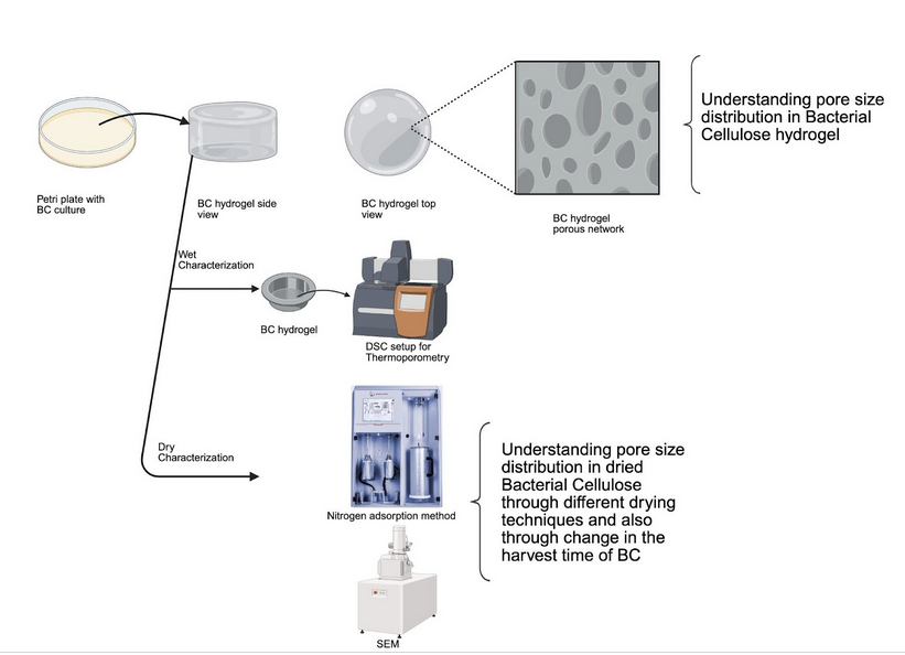 Tuning Porosity and wettability