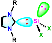 CCR18