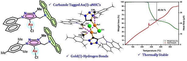 NJC22-1